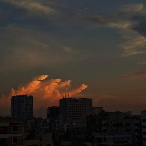 Photo #6224545