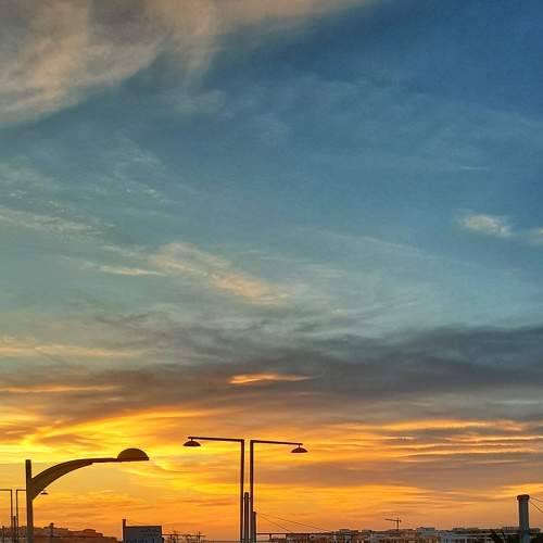 Photo #6224887