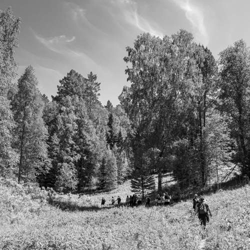 trails