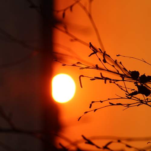 Photo #6225165
