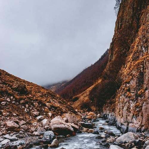 Photo #6225275