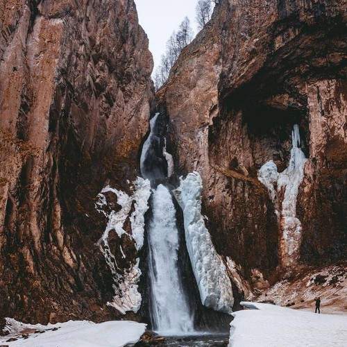 Photo #6225276