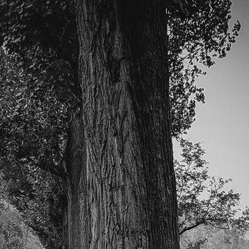 Photo #6225367