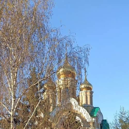 Photo #6225587