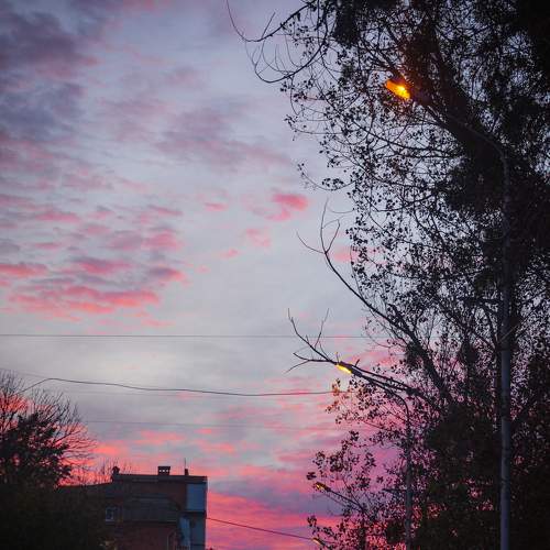 Photo #6225822