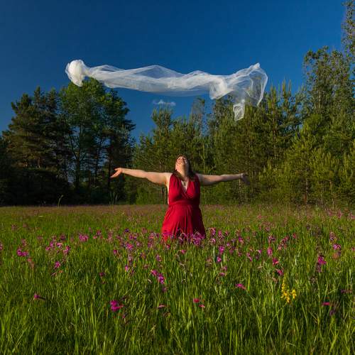 Photo #6226135
