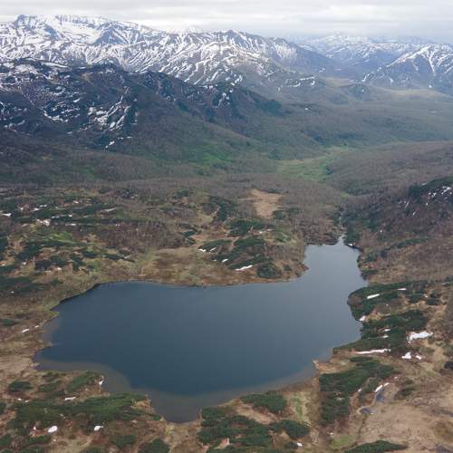 Photo #6226269