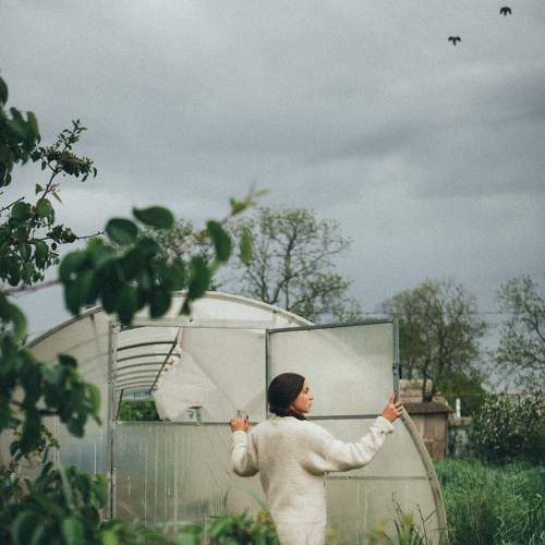 Photo #6226457