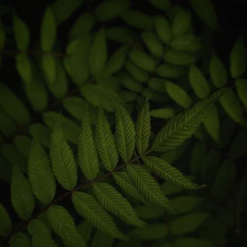 Photo #6226541