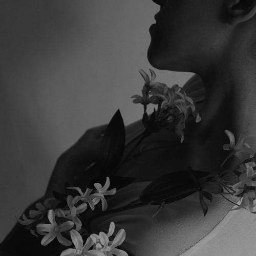 Photo #6226829