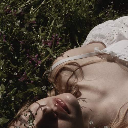Photo #6227144