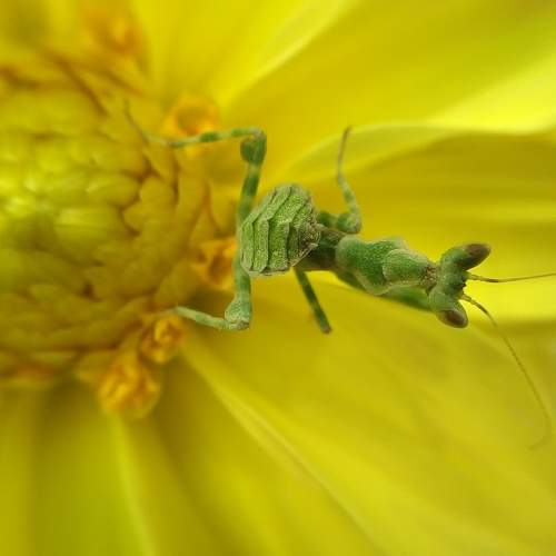 Photo #6227187