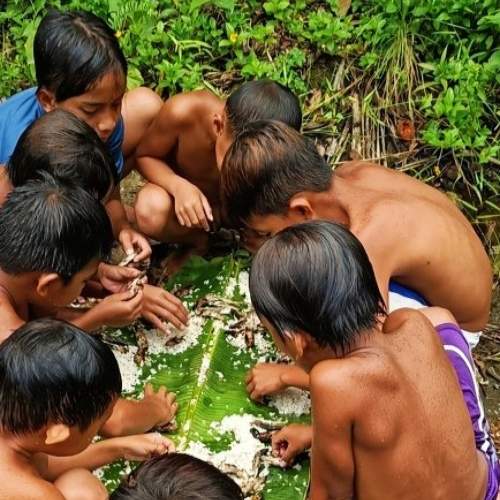 Photo #6227252