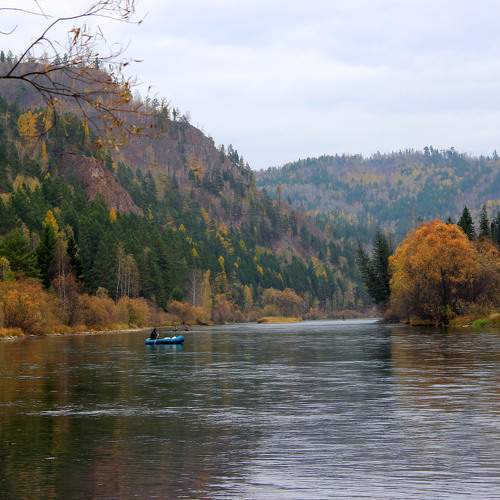 Photo #6227485