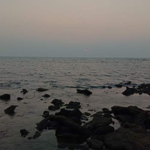 Photo #6227614