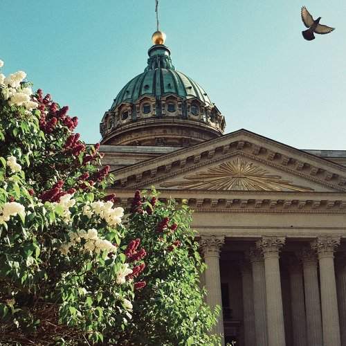 Photo #6227928