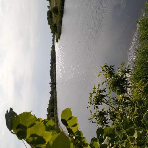 Photo #6228175