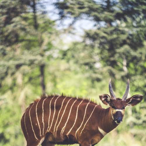 Фотография #6228299