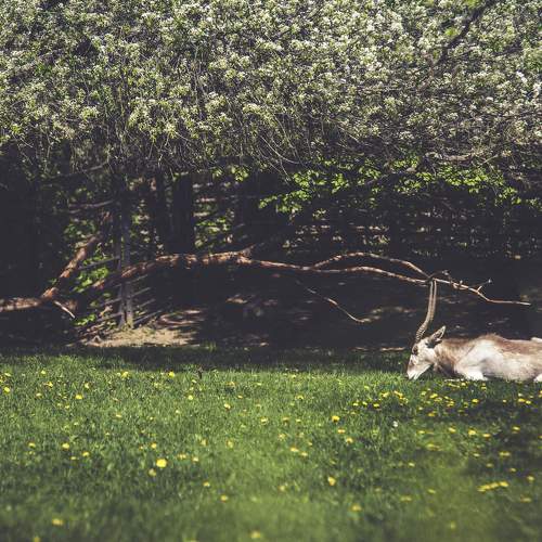 Фотография #6228310