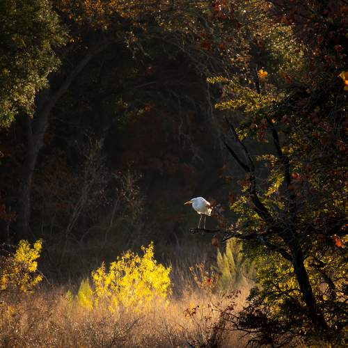 Autumn river in Texas
