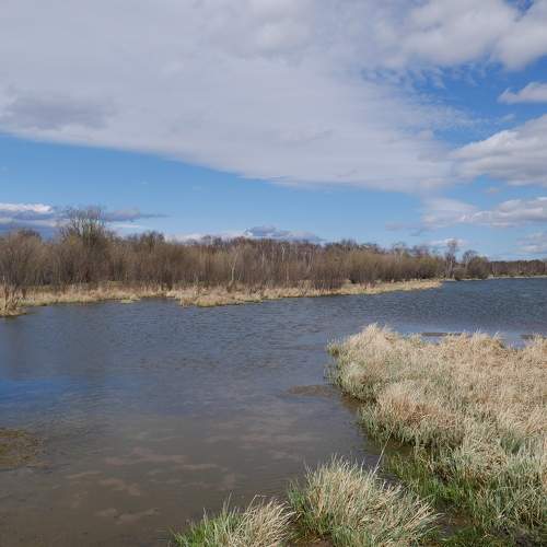 Photo #6229704