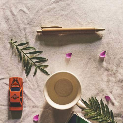 Photo #6229846