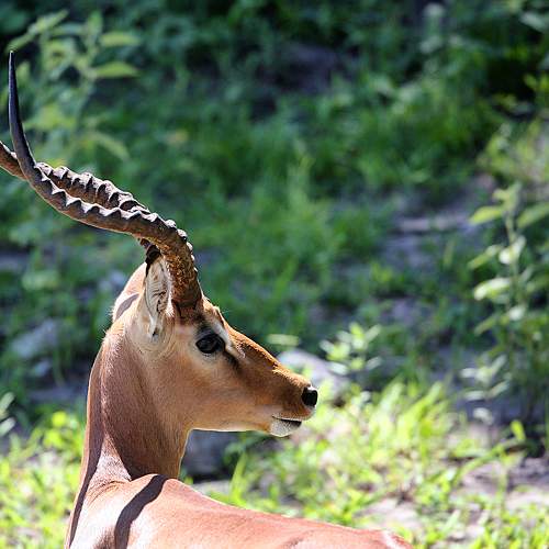 Photo #6230084