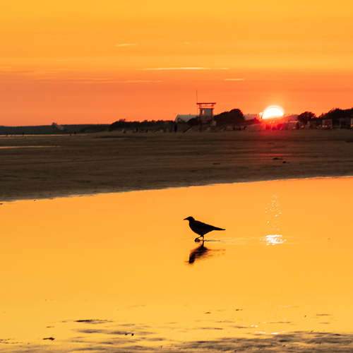 Photo #6230229