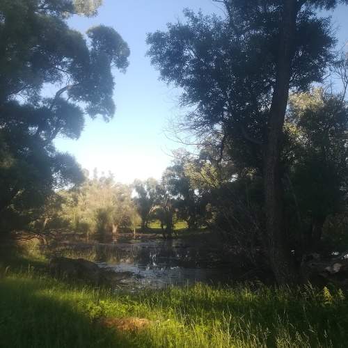 Photo #6230517