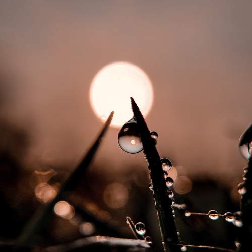 Photo #6230667
