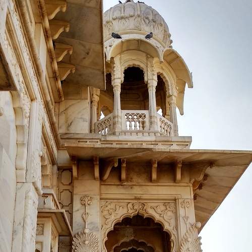 Photo #6230737
