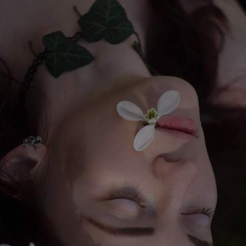 Алина и подснежники