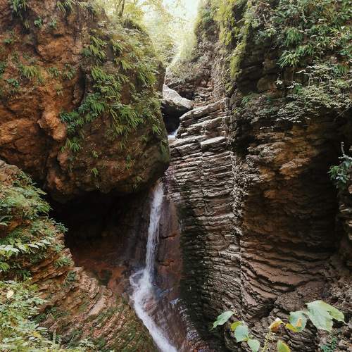 Photo #6230879