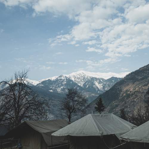 Photo #6231054