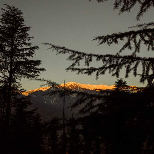 Photo #6231056