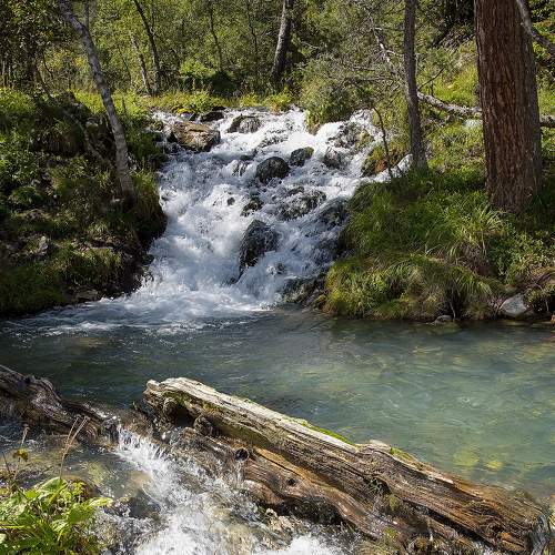 Photo #6231080