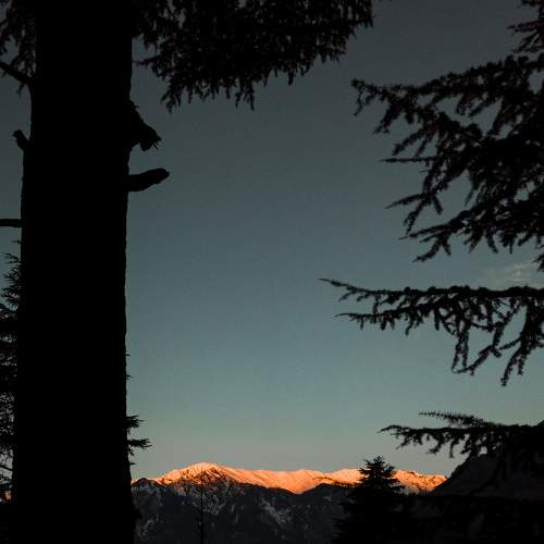 Photo #6231089