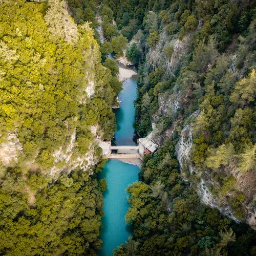 Photo #6231565