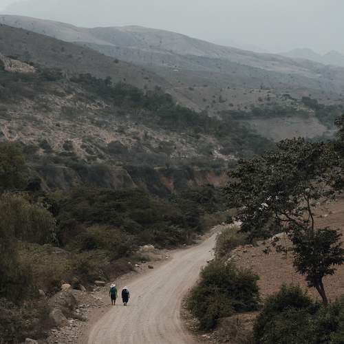 Photo #6231896