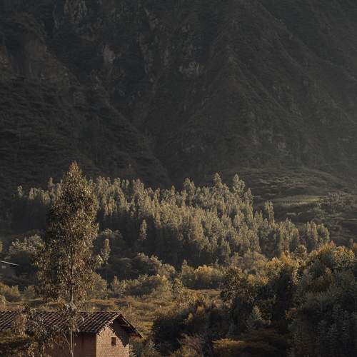 Photo #6231899