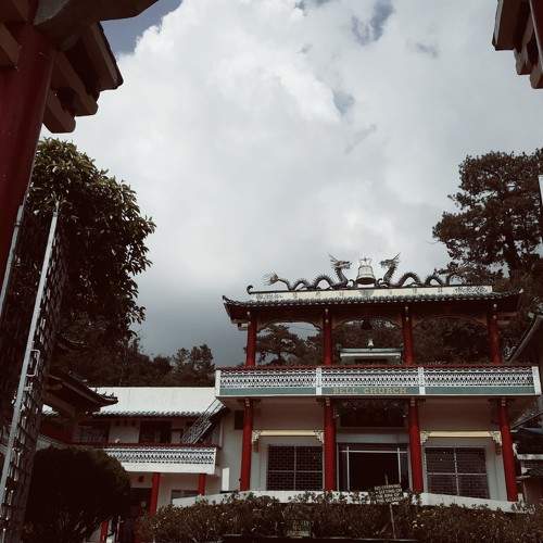 Photo #6232209