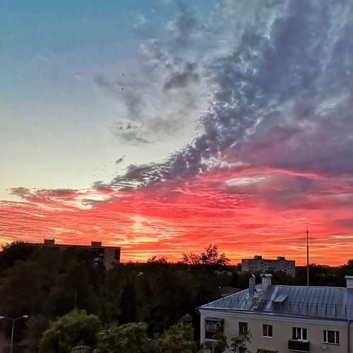 Photo #6232441