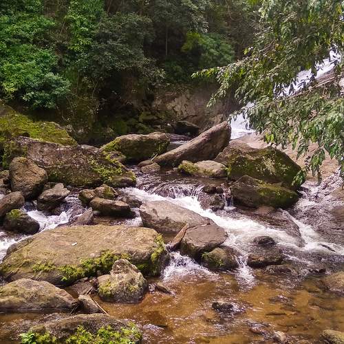 Photo #6232567