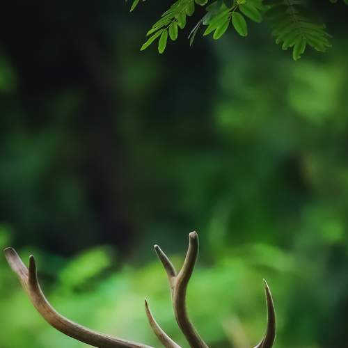 Photo #6232627