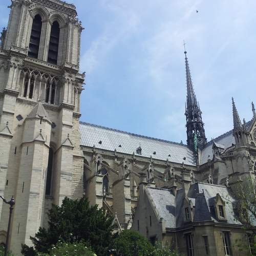 Photo #6232678