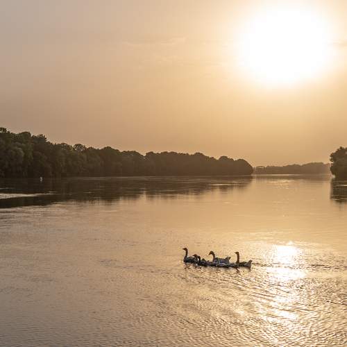 Photo #6232699