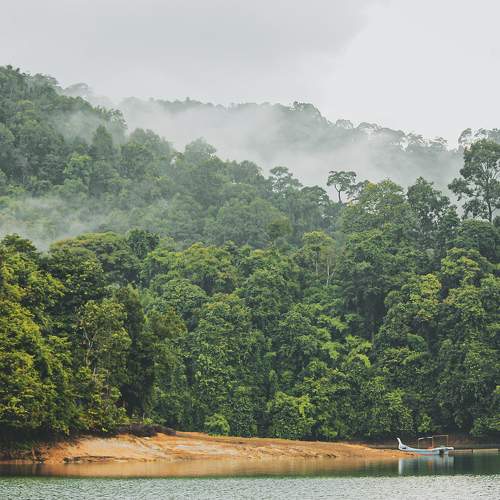 Pedu Lake