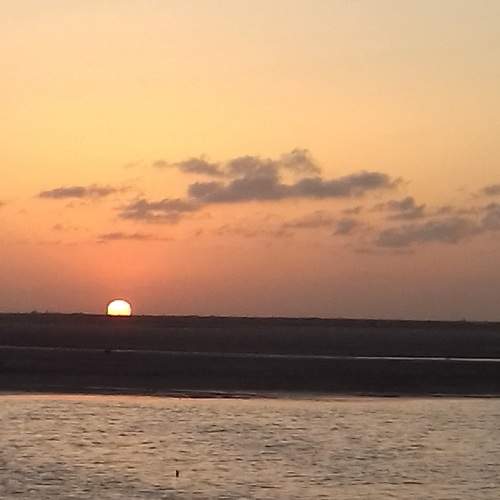 Photo #6232988