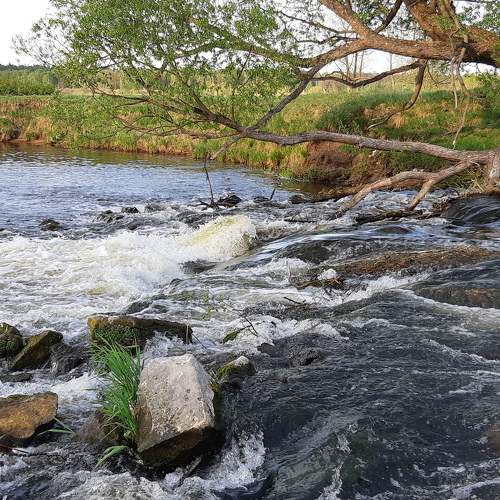 Photo #6233007
