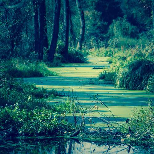 Photo #6233013